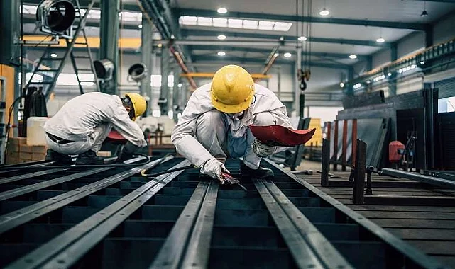 Melikgazi Kertenkele İlaçlama